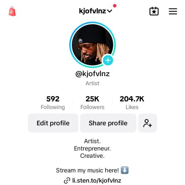 Buy TikTok Followers 25K Boost pack - Image 2